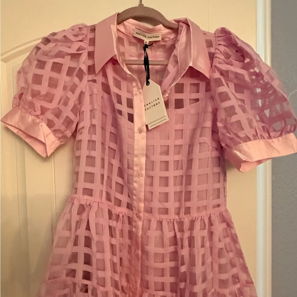 English Factory Pink Checkered Dress - Picture 3 of 3
